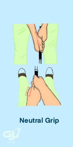 neutral golf grip guide