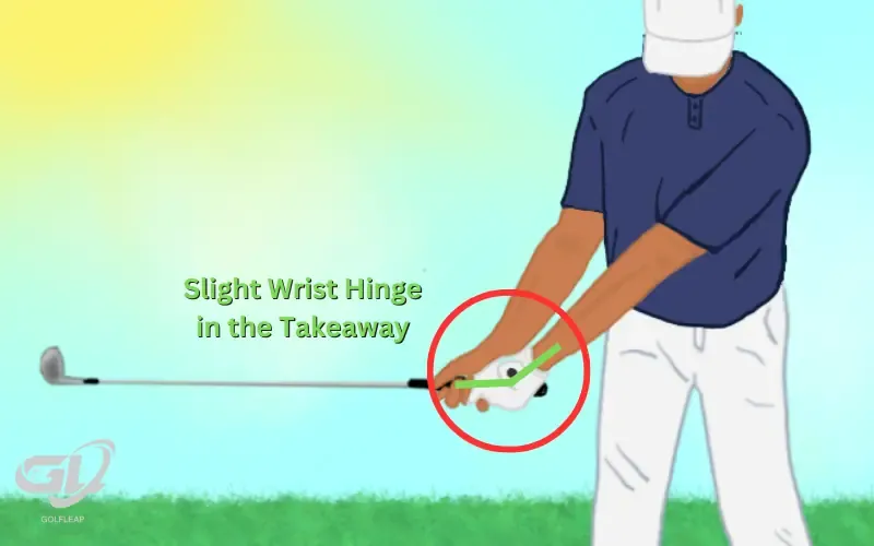 wrist hinge in takeaway