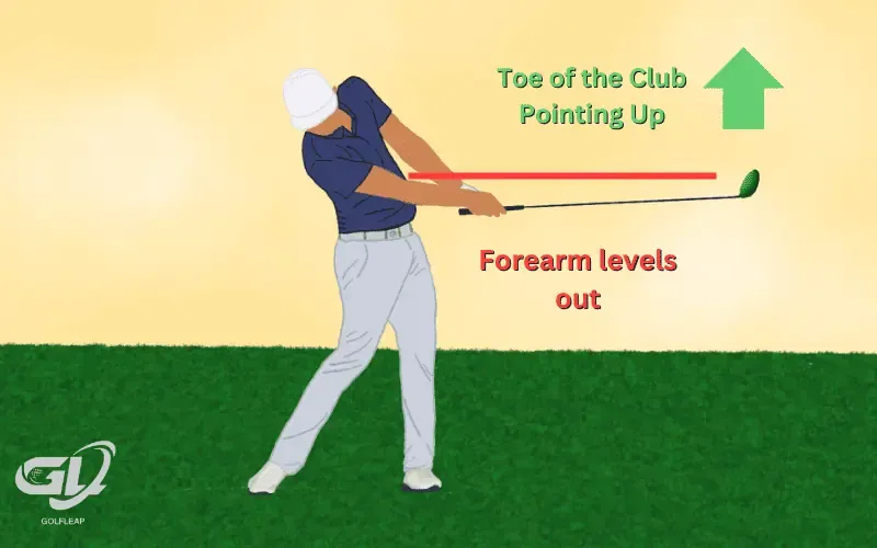 Forearms Level Out & Toe of Club Points Upwards
